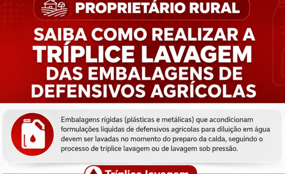 Saiba como realizar a tríplice lavagem