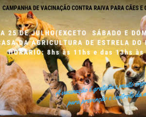 campanha-de-vacinacao-contra-raiva-para-caes-e-gatos_(377).png