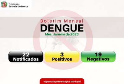 Dengue - Boletim do mês de janeiro