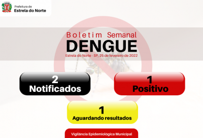 Dengue: boletim atualizado