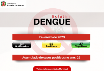 Dengue: boletim atualizado
